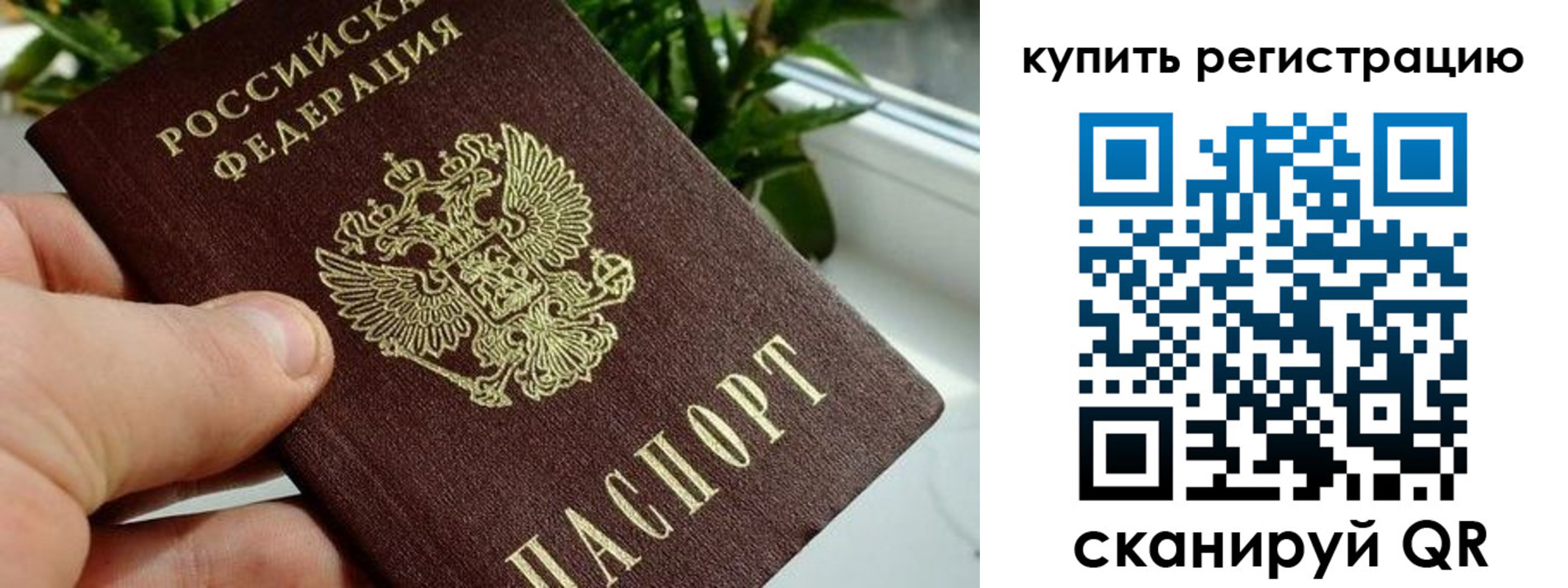 прописка гарантия в Заволжье